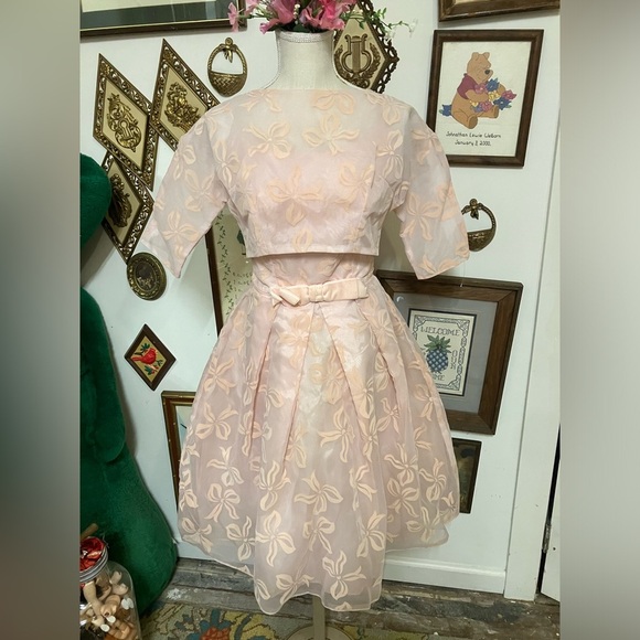 1950s/60s Union Label burnt out velvet Lolita style dress - Picture 4 of 15